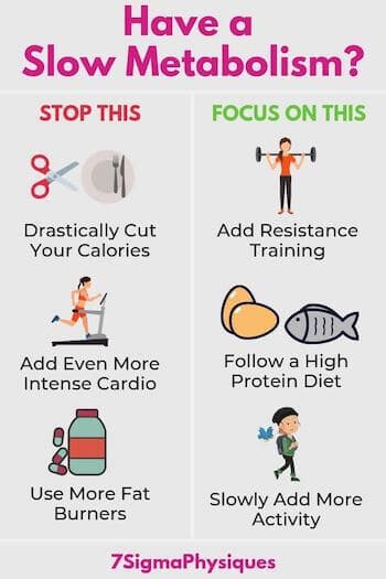 Infographic showing what you should and shouldn't do if you have a slow metabolism?